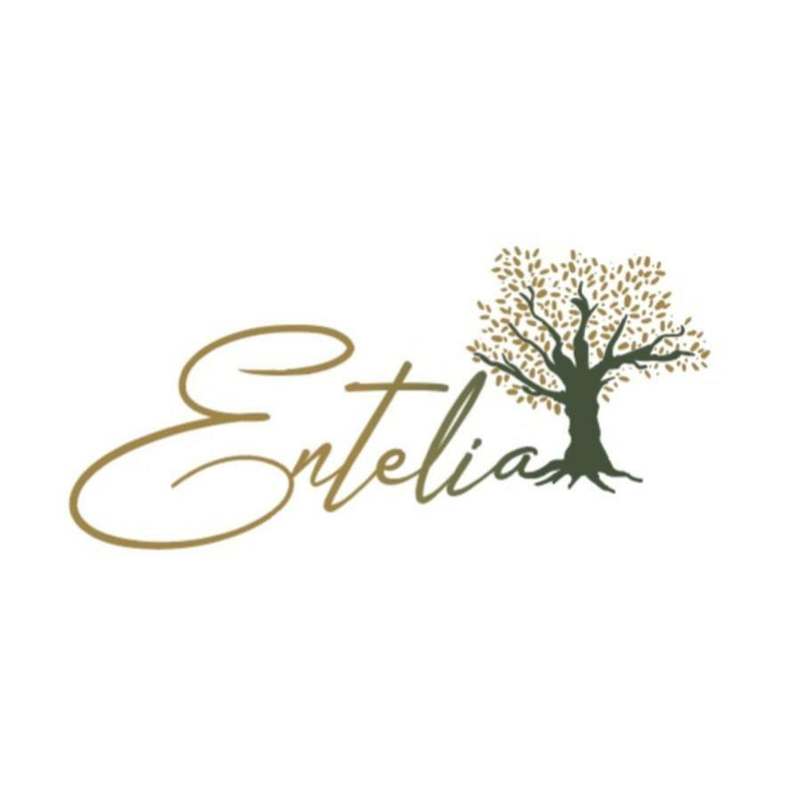 Готель Entelia Скіатос Екстер'єр фото